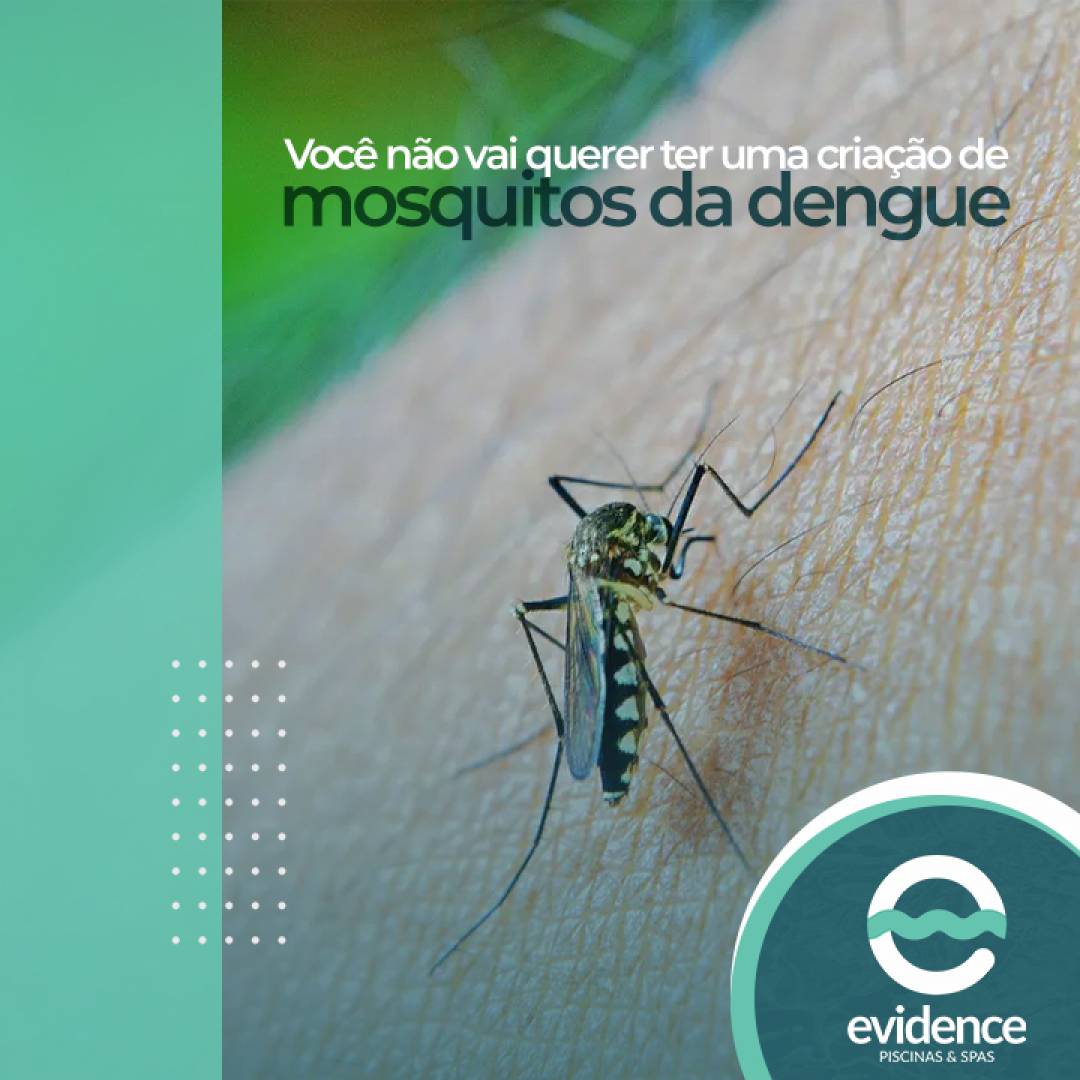 Você não vai querer ter uma criação de mosquitos da dengue na sua casa, vai?